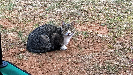 Mal sehen ob es noch etwas gibt ...