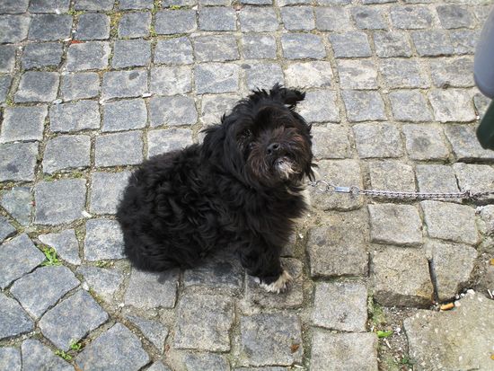 angebunden und vergessen