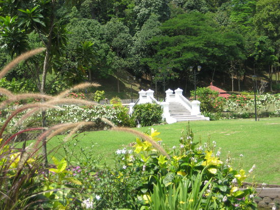 Lake Gardens, die gruene Lunge KLs