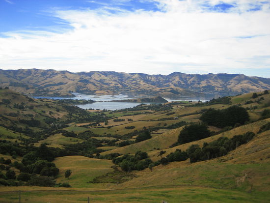 Blick auf Akaroa