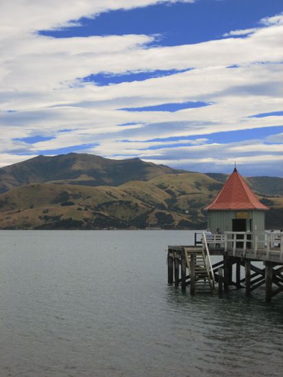 Im Hafen von Akaroa I