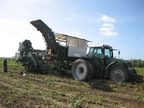 Kartoffelroder.... fuer McDonalds und McCain!