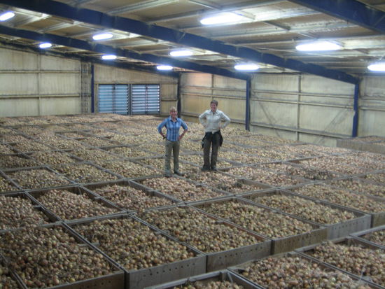 Sonja und ich auf 500 Kisten Zwiebeln - insgesamt 900t
