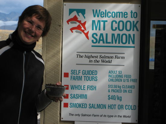 Das Futter sieht aus wie Hundefutter, riecht auch so!