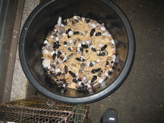 Hier gibt es wirklich alles!