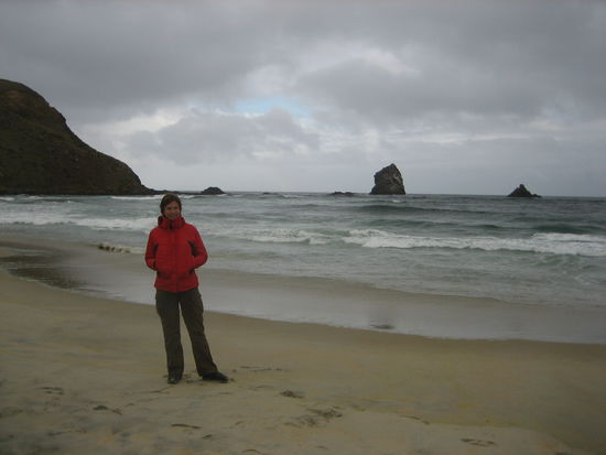 Auf Otago Peninsula, der Halbinsel vor Dunedin