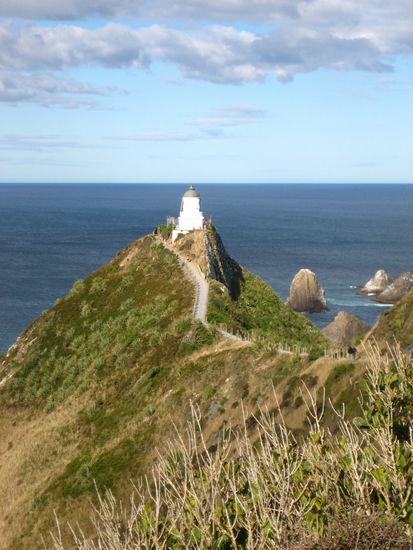 Der Leuchtturm am Nugget Point