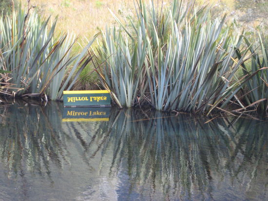Auf dem Weg zum Milford Sound