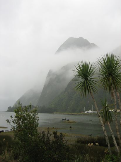 Sch... Wetter am Milford Sound