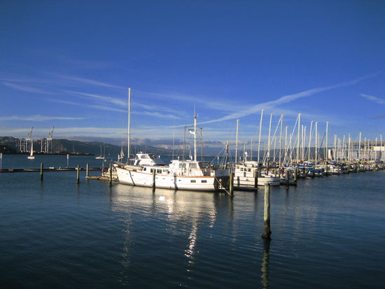 Im Hafen von Wellington