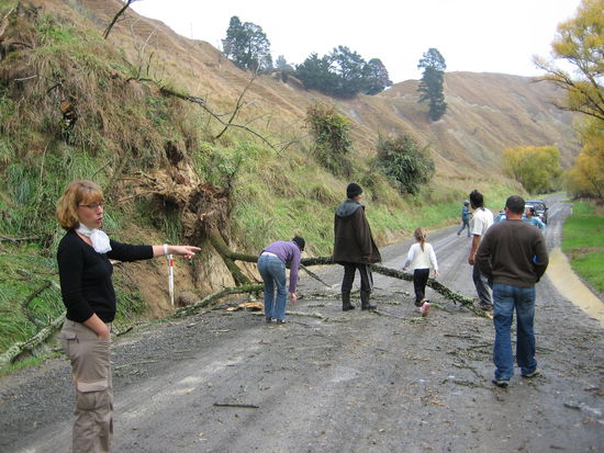 Der Highway 38 und ein Baum