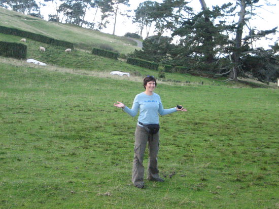 Das Party-Field, auf dem Bilbo Baggins seinen 111.Geburtstag gefeiert hat