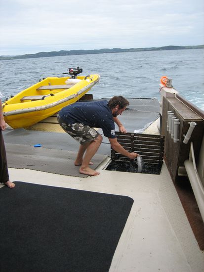 Auf dem Overnight Cruise - JayJay und ein Fisch