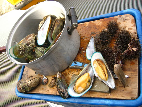 Lecker - ganz frische Muscheln