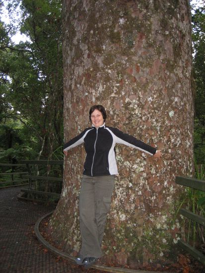 Ein Kauri Baum und ich