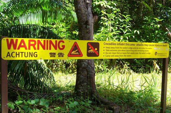 Crocodiles schwimmen in den meisten Fluessen im Norden.
