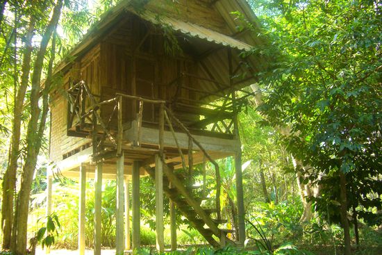 Unser Baumhaus im Khao sok National Park