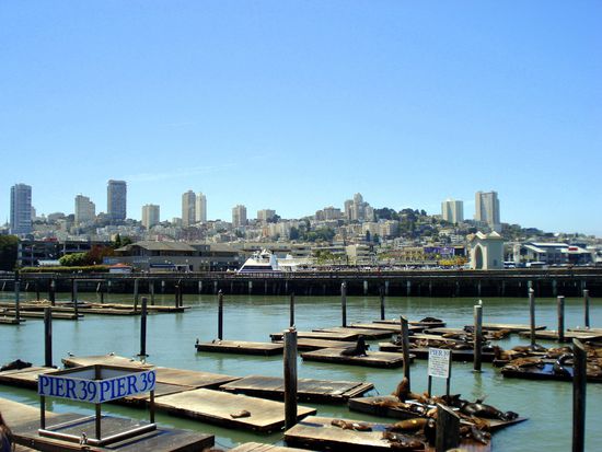 am Pier 39