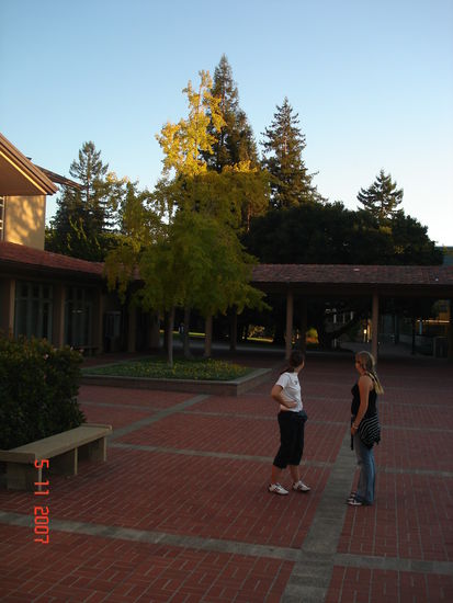 man beachte den Ginkgobaum im Hintergrund 