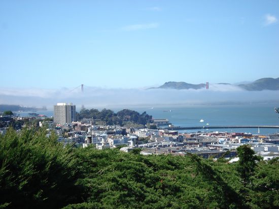und wenn da kein Nebel waere, konnte man auch die Golden Gate Bridge sehen...