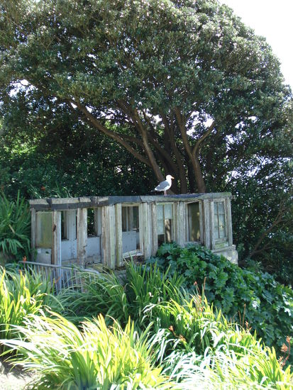 die Umgebung... einfach nur schoen!