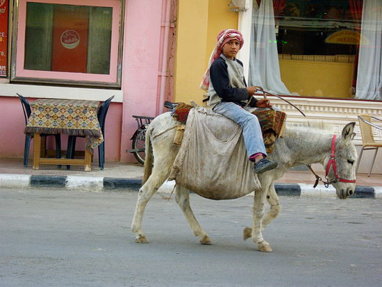 So bewegt man sich im modernen Palmyra auf den Straßen fort