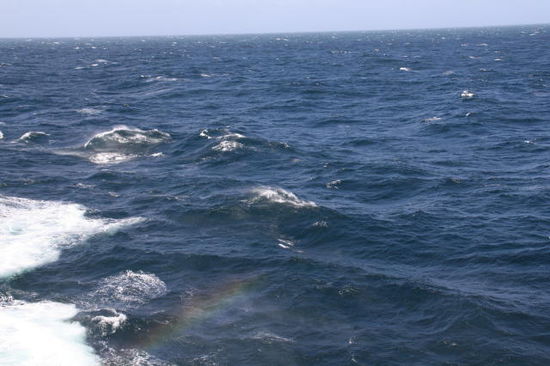 Regenbogen in der Gicht