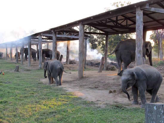 Im Vordergrund die Zwillinge