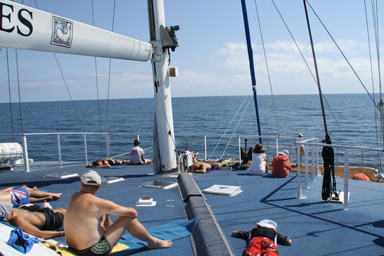 Auf dem Katamaran bei der Fahrt zum Riff