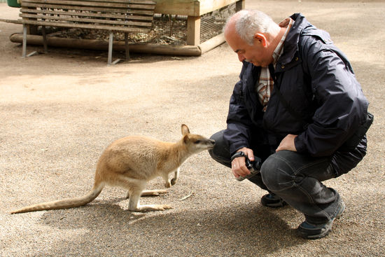 Wer springt hier nun besser bzw. was gibt es interessantes?