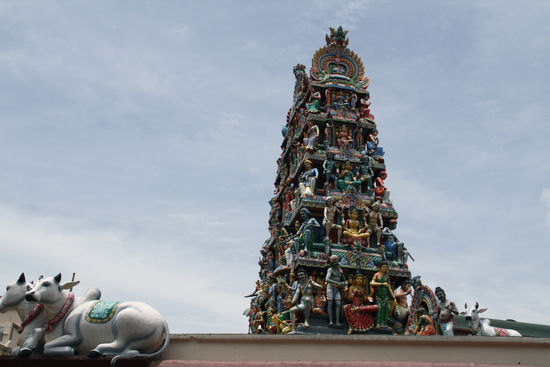 Nein, nicht Südindien, sondern Singapur mit seinem südindischen Tempel