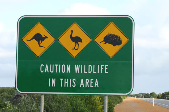 Für uns unbekannte Verkehrsschilder