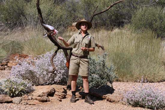 Flugvorführung im Desert Park