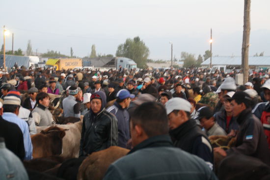 Menschen und Vieh dicht gedrängt