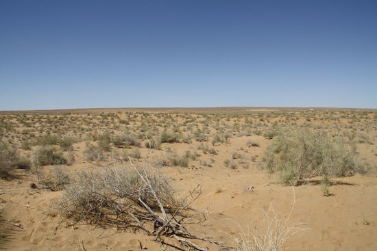 Sand, Sand und nichts als Sand ...