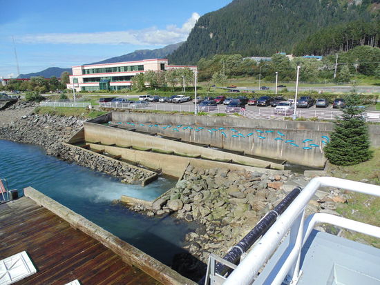 Die Fischtreppe für die Rückkehr der Lachse