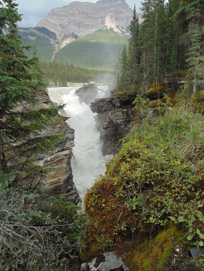 Athabasca Wasserfall