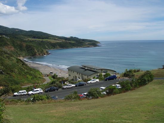 Surfstrand in Raglan