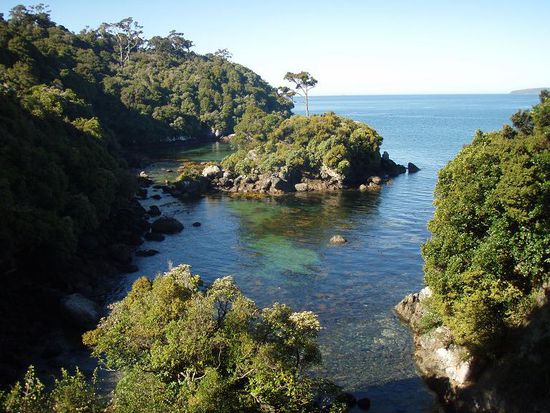 Auf Stewart Island