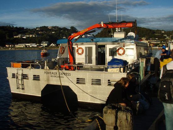 Die Fahere im Morgengrauen