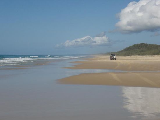 Auf Fraser Island