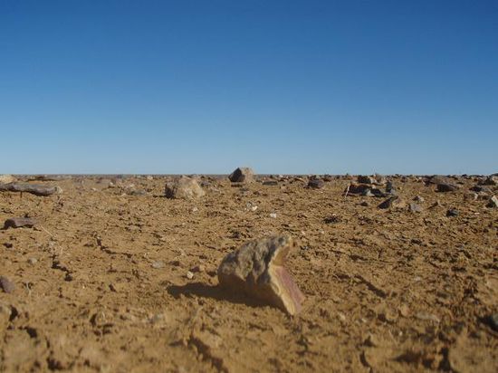 Sieht schon etwas aus wie die Bilder von der Landung auf dem Mars, oder?