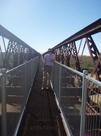 Auf der Algebuckina-Bridge