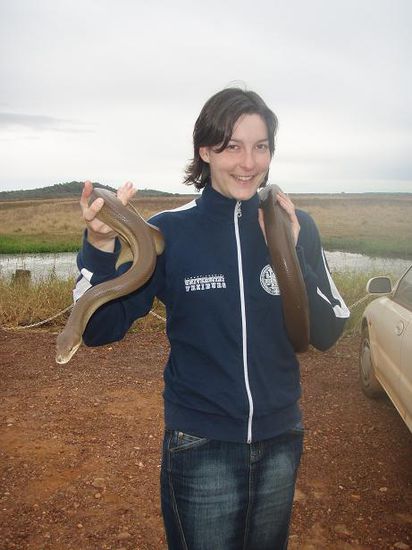 Mit einer Olive Python
