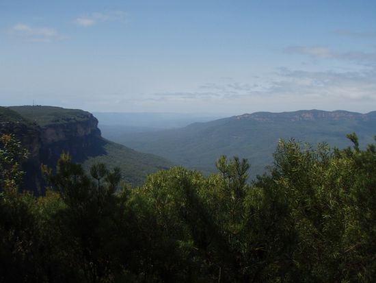 Die Blue Mountains
