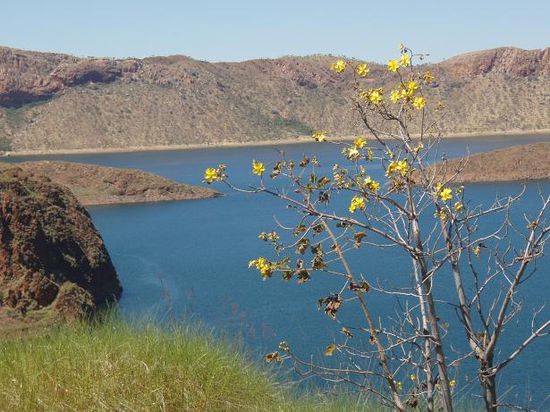 Blick auf Lake Argyle
