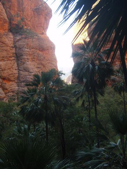 In einer Schlucht