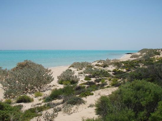 Am Strand