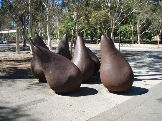 Birnen vor der National Gallery of Australia