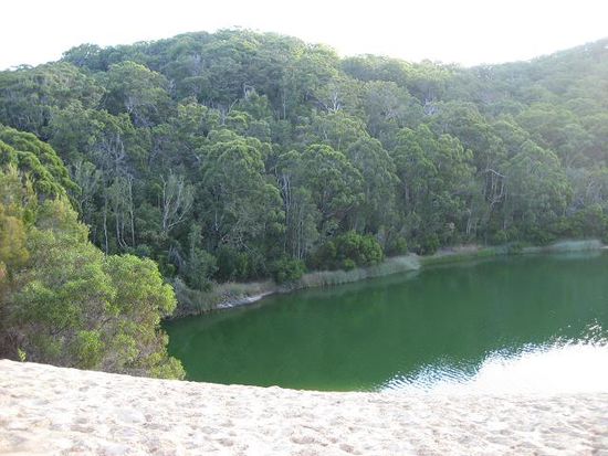 lake wallaby, fettes teil